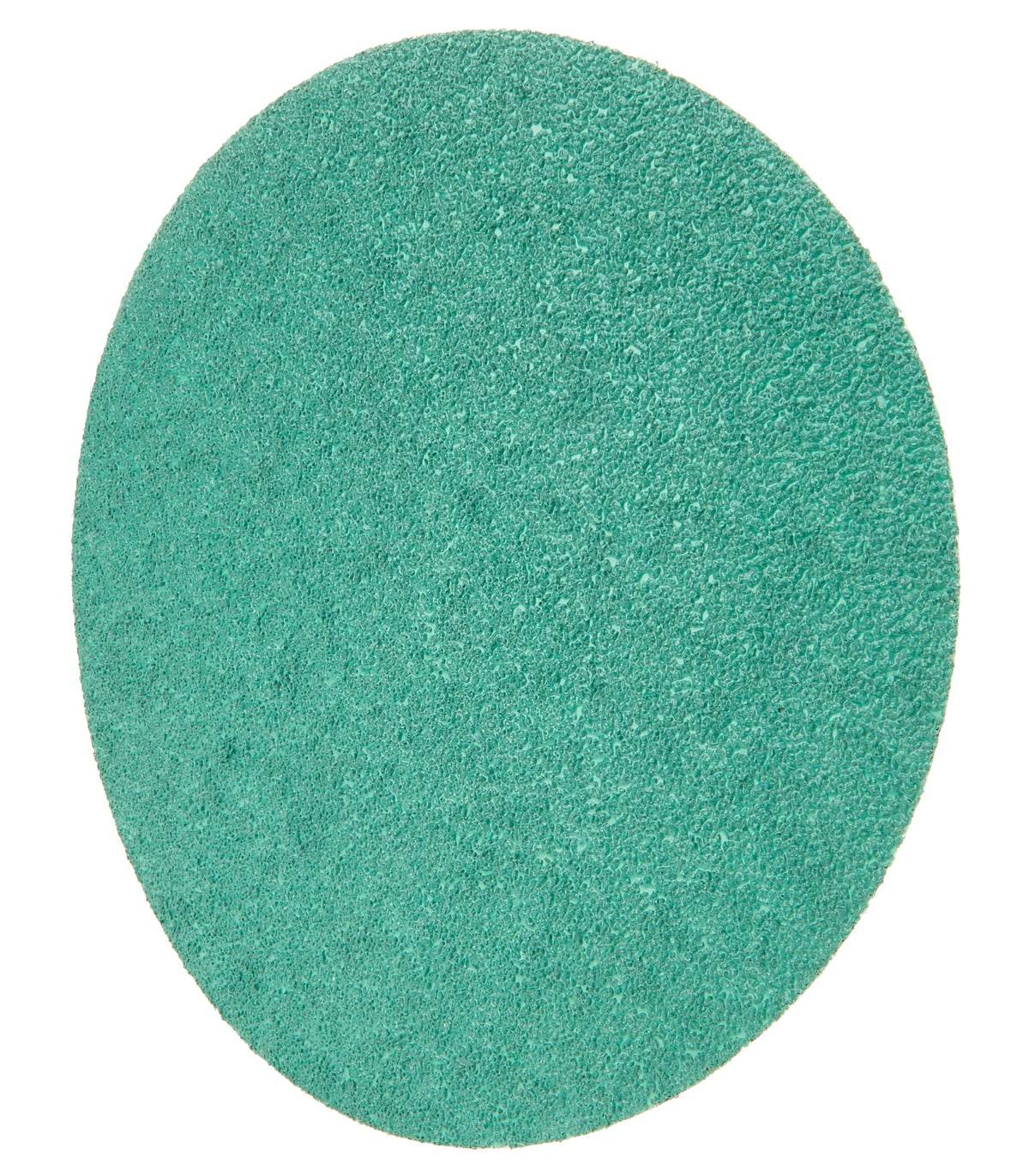 Sanding Discs 8in 36 Grit 5pk - ALL44189